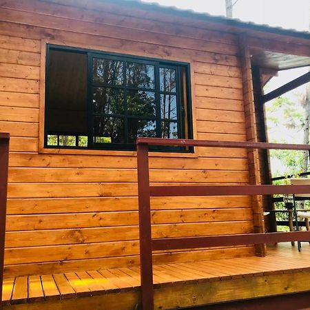 哈拉瓦科阿 Casa De Arbol, Rancho Tierra Alta酒店 外观 照片
