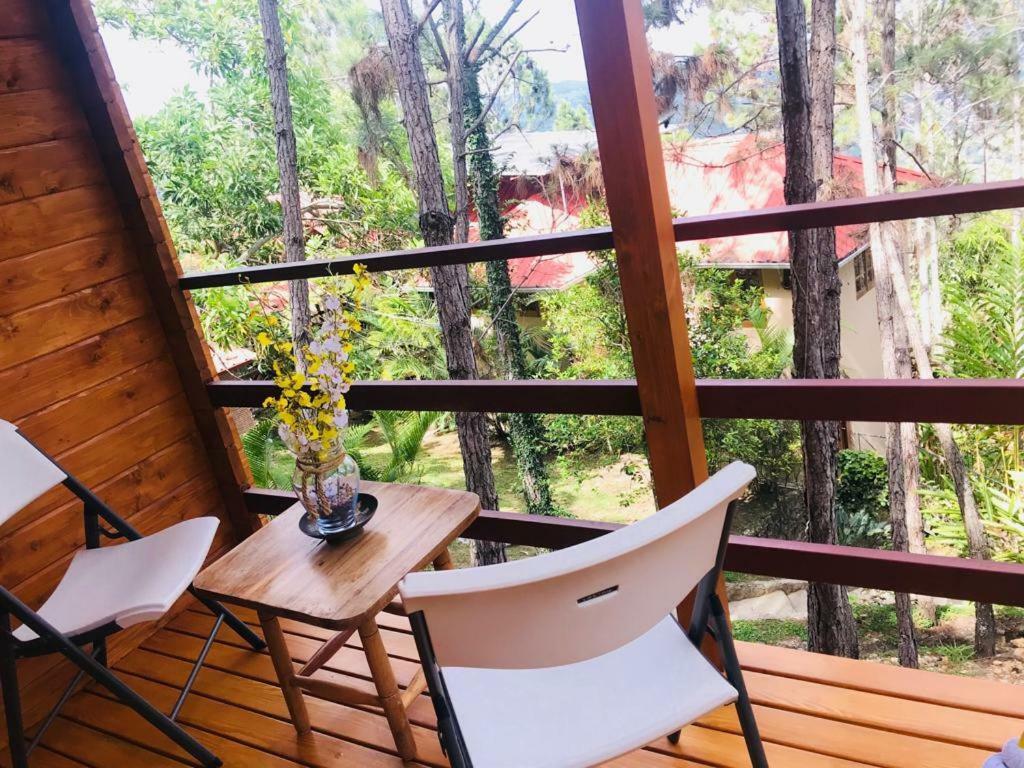 哈拉瓦科阿 Casa De Arbol, Rancho Tierra Alta酒店 外观 照片