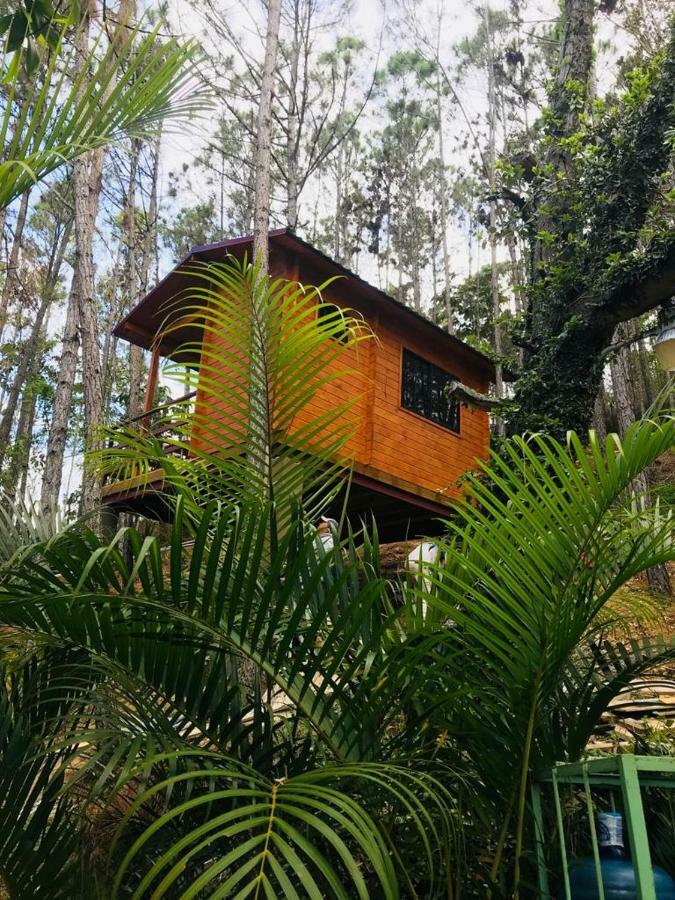 哈拉瓦科阿 Casa De Arbol, Rancho Tierra Alta酒店 外观 照片